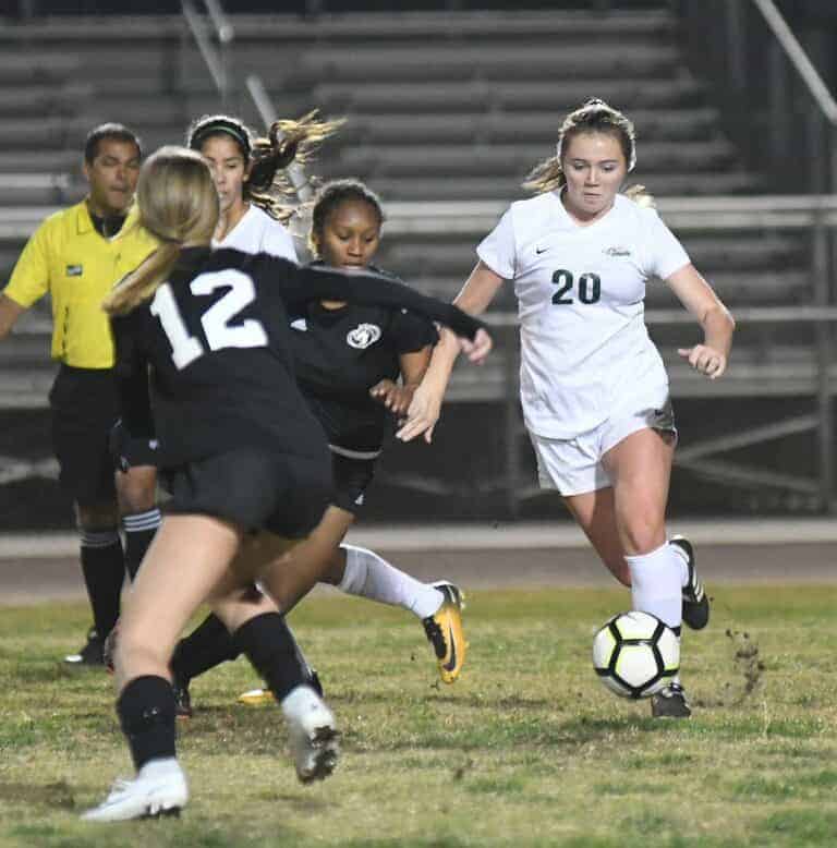 Quick goals lead Hawks to win