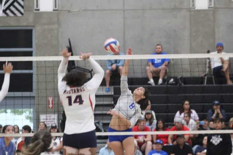 Coyotes, Stallions, Hawks solid at classic