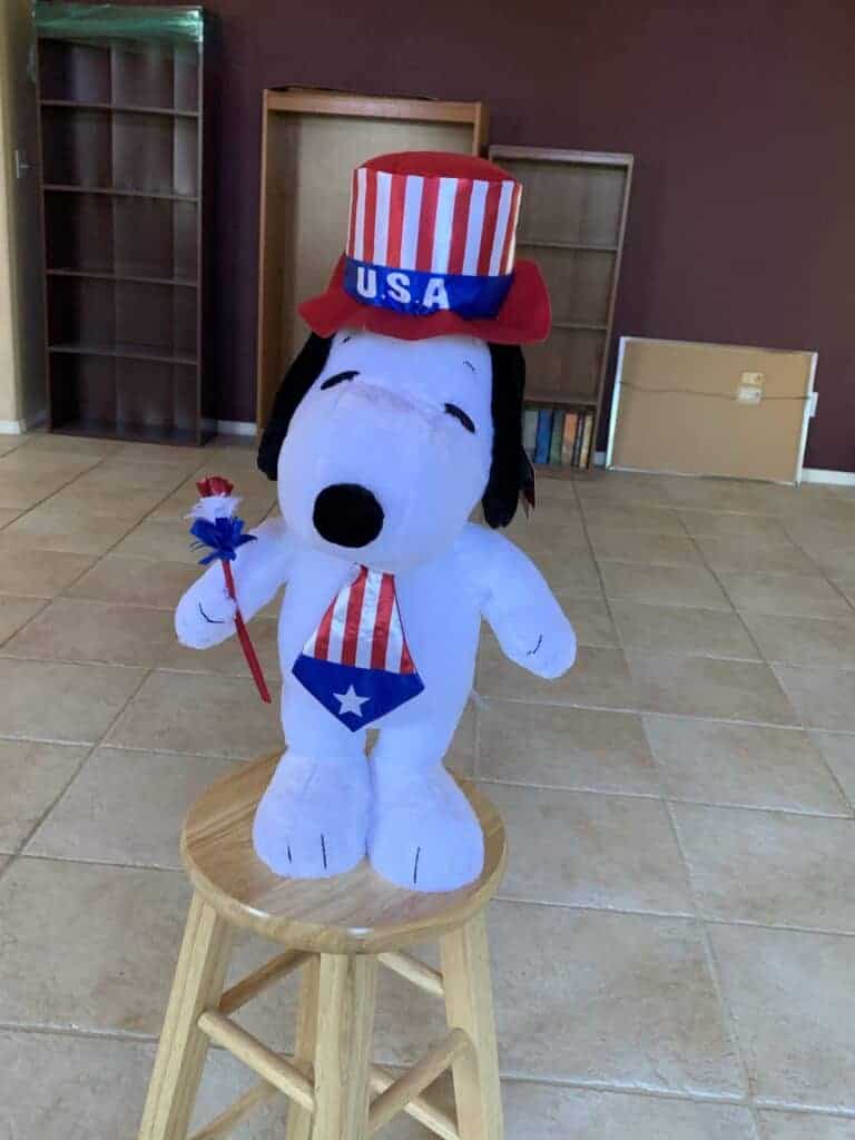 Photo - Snoopy is all decked out for the July 4th holiday. Happy Independence Day!