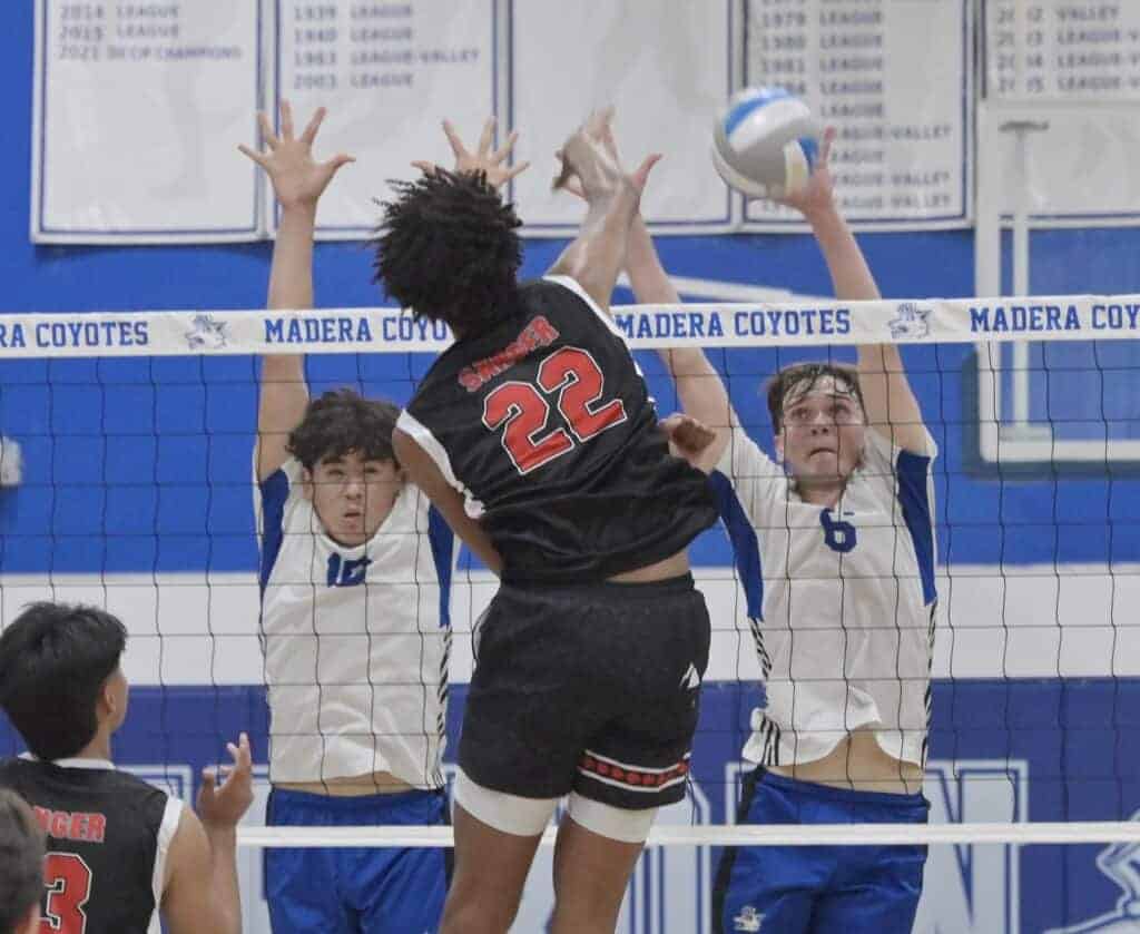 Photo - Madera’s Damian Bispham and Jayden Martinez, left, rise up to make the block on the Sanger attacker during Tuesday’s three-set loss to the County/Metro Athletic Conference leaders in Joe Flores Gym. Although the Coyotes lost in three sets, the margin of victory by Sanger was only 14 points.