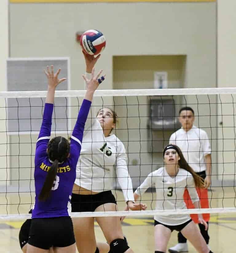 Hawks take Mustangs to the distance