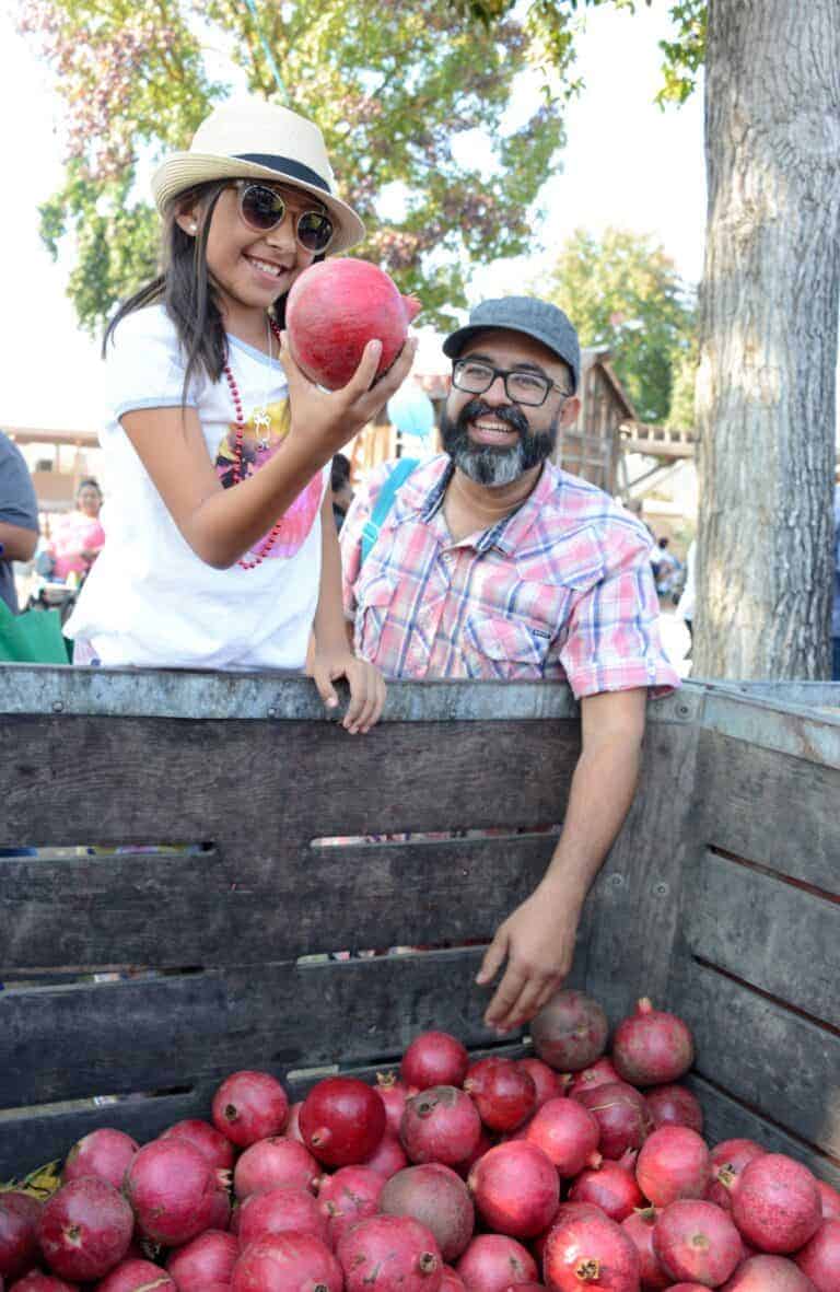 Preparations under way for Nov. 4 pomegranate festival