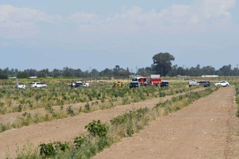 2 aboard plane die in crash