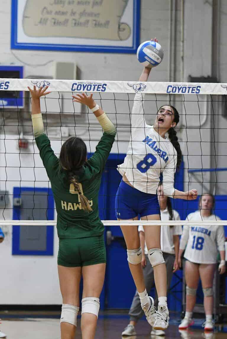 Coyotes bounce back to sweep Hawks