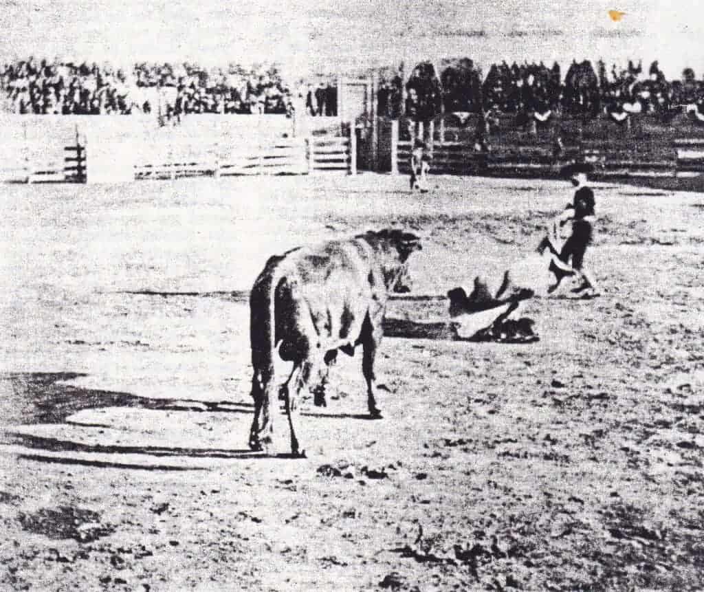 Photo - A 1901 bullfight at the north end of E Street. As fate would have it, the bull lived to fight another day, having been rescued by Sheriff William Thurman.