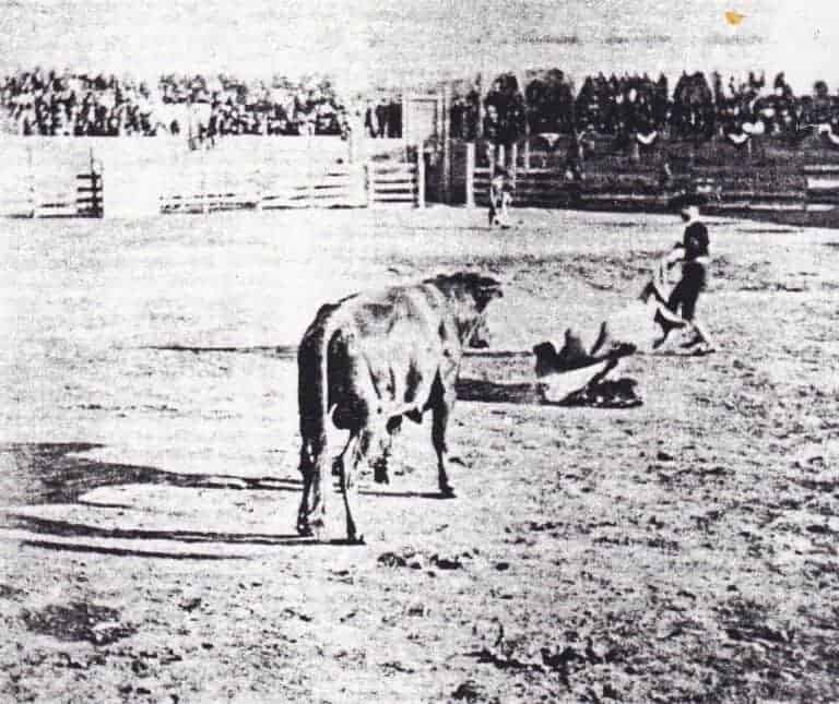History affirms bully good idea for new high school’s mascot