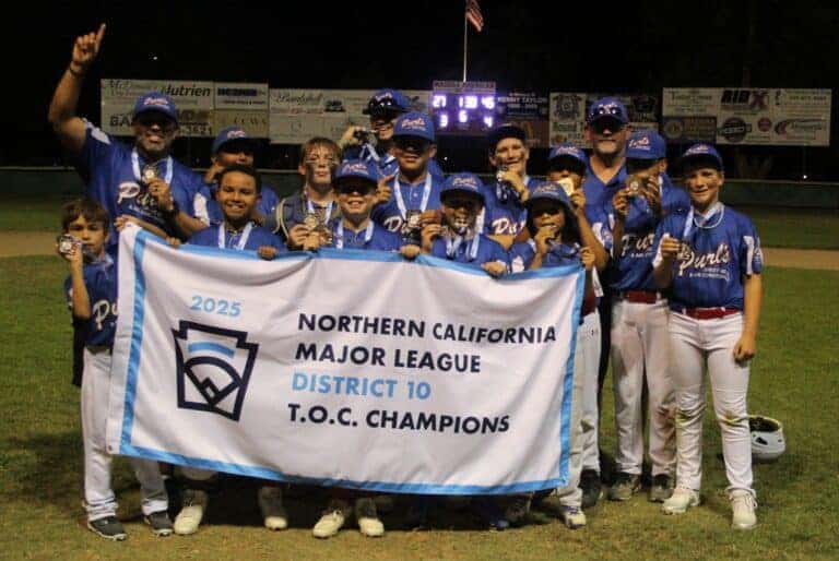 Purl’s gets revenge to win District 10 TOC title