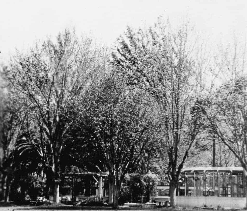 Photo - The zoo in Courthouse Park, shown here, was almost the scene of a murder in 1917.