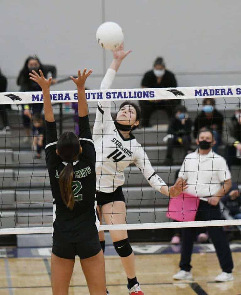 Stallions advance to semifinals
