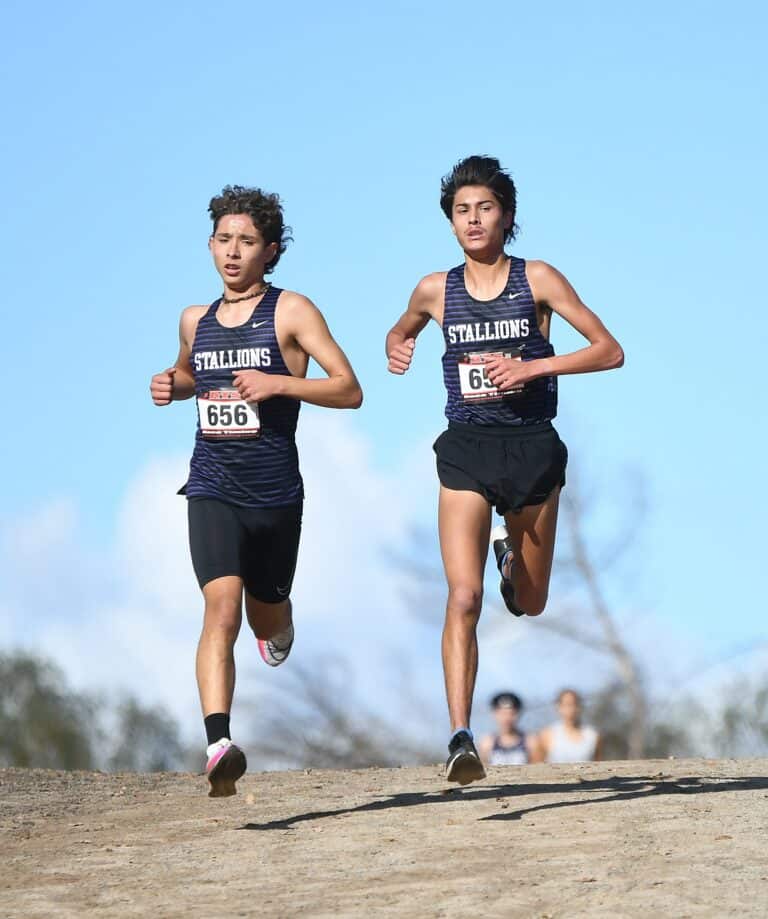 Cross country teams excel in new leagues