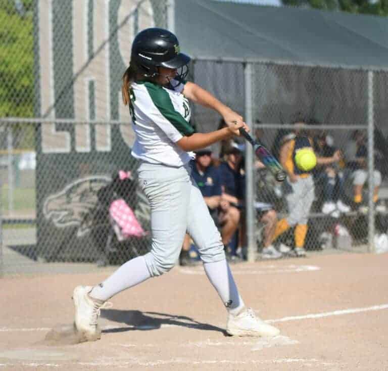 Freshmen lead Hawks in Div. III playoff win