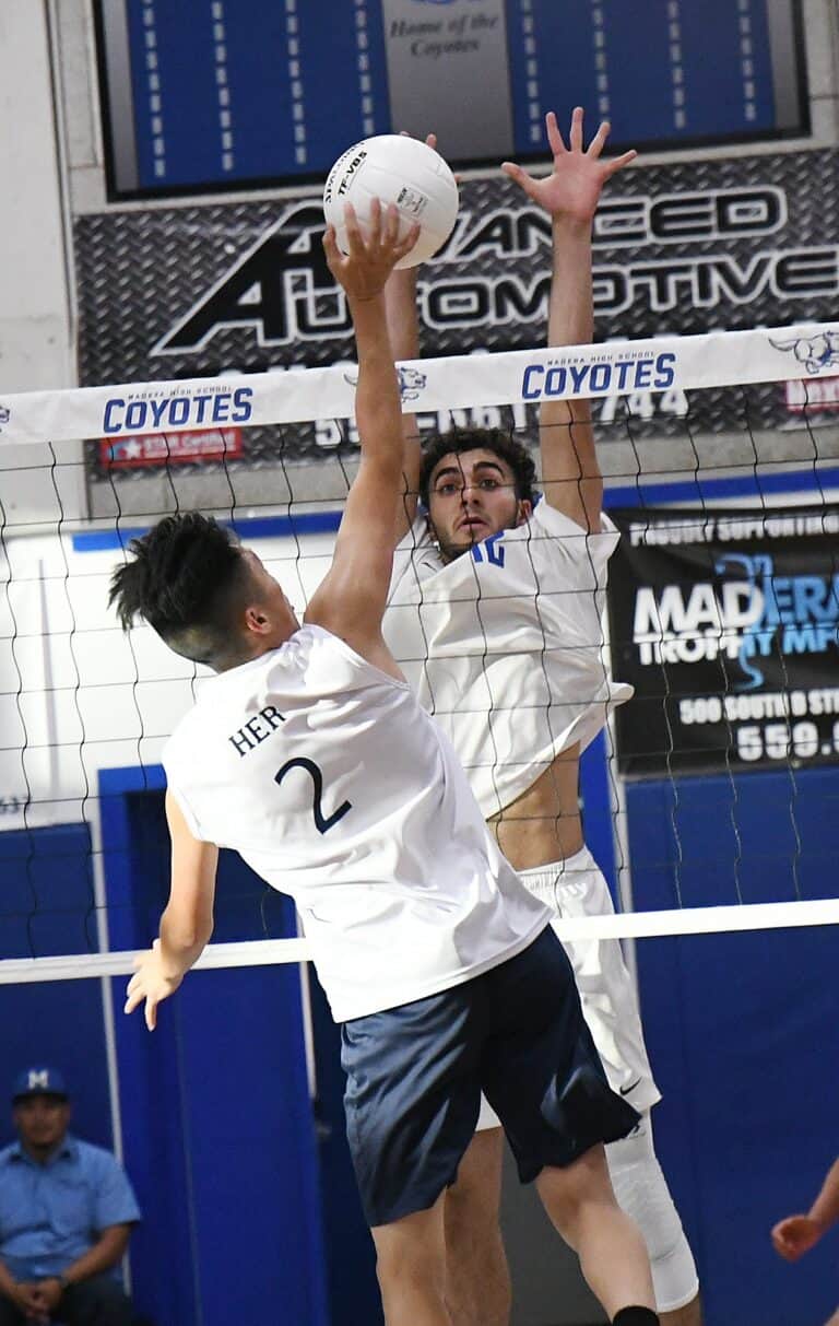 Coyotes survive and advance