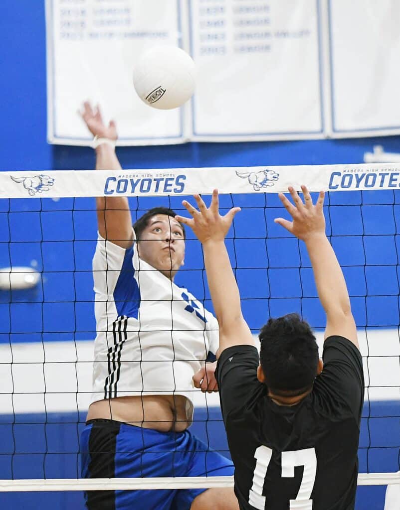 Photo - Madera’s Chris Arias rises up to put down one of his 11 kills in Tuesday’s 3-1 win over Edison.