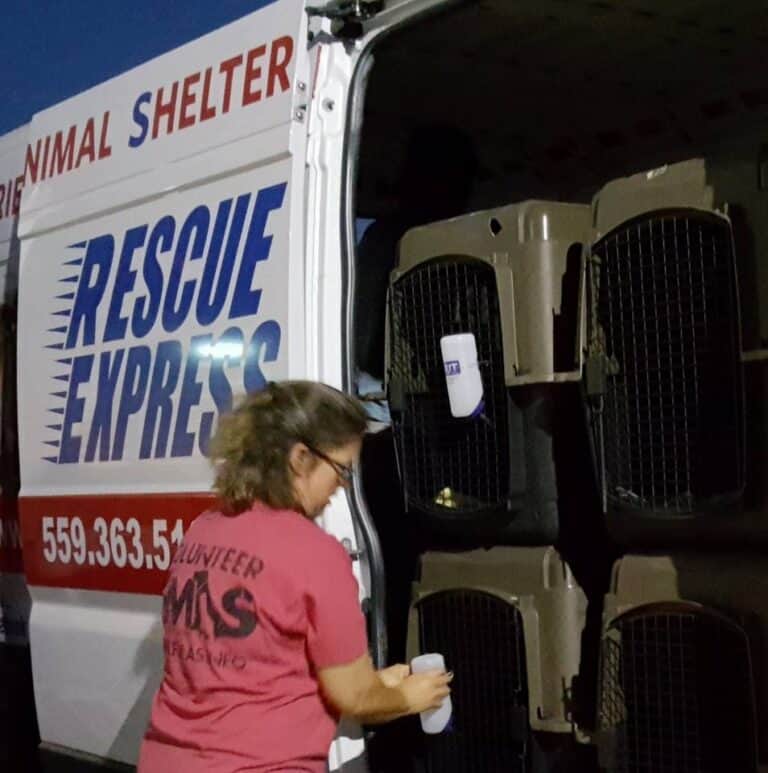 Animal Services renews life-saving  relationship with HOPE for spay, neuter