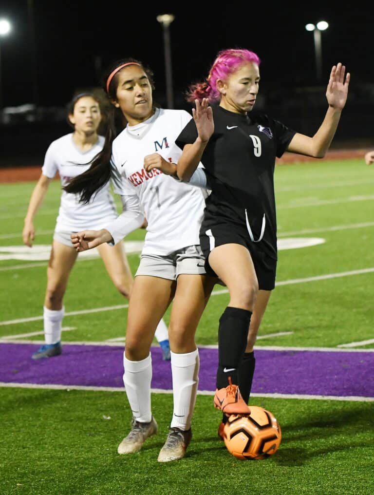 First half goal blitz downs Stallions