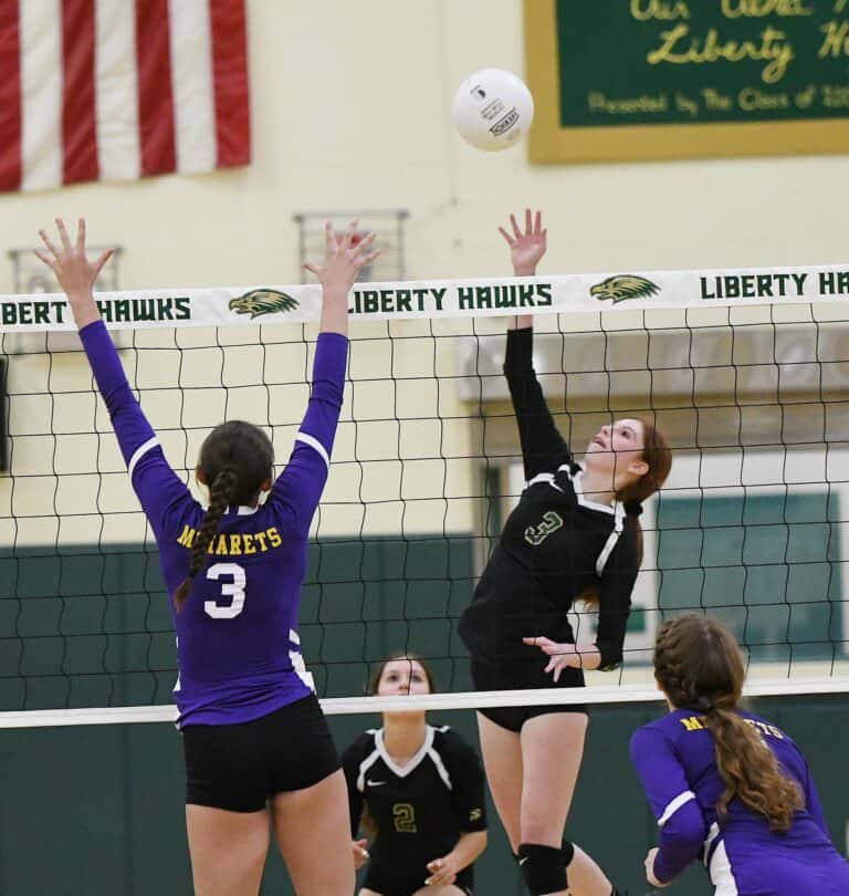 Hawks’ inexperience shows in three-set loss