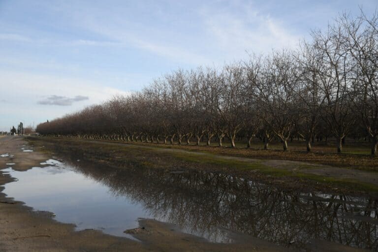 Farmers enjoy rain, brace for more