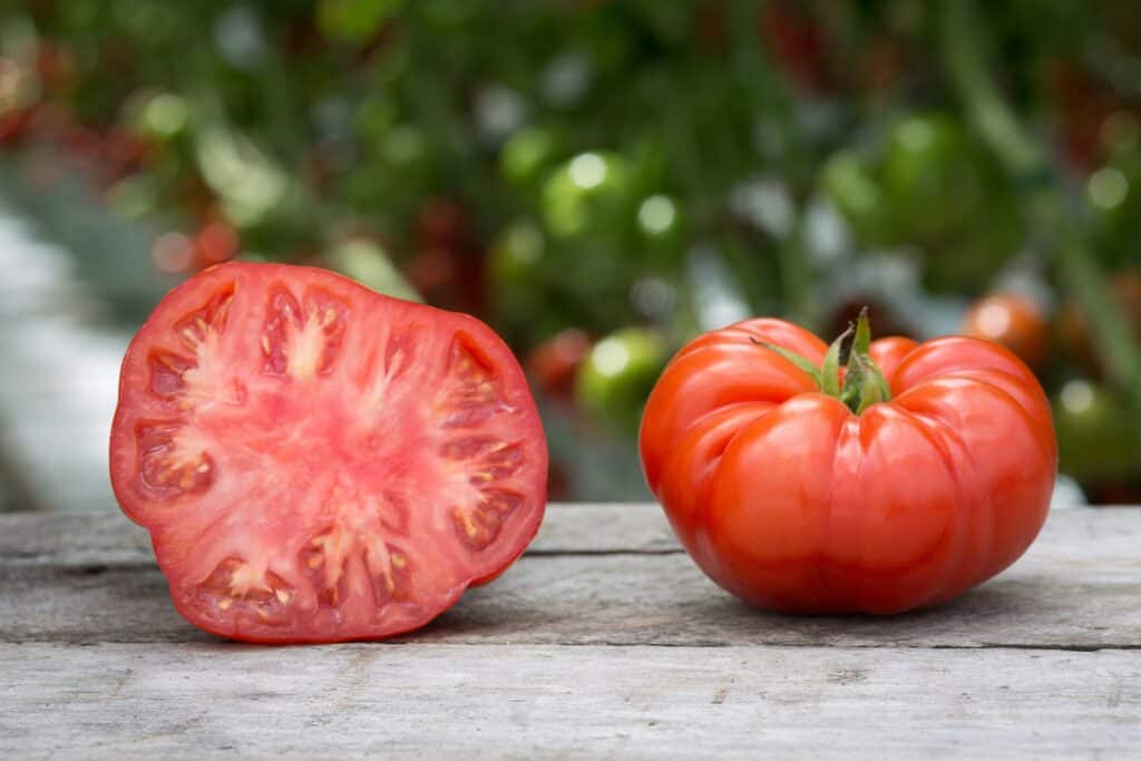 Photo - There are so many ways to enjoy a ripe, fresh summer tomato.