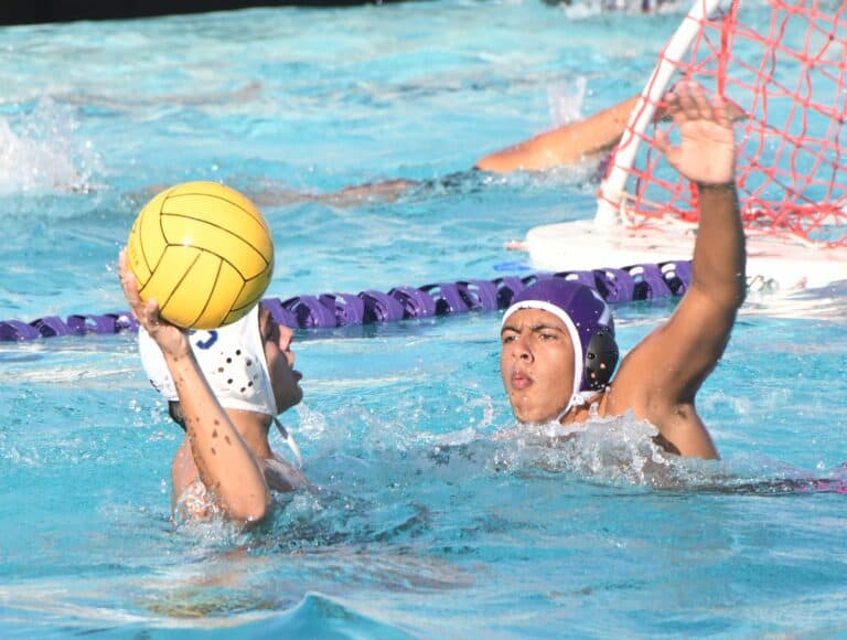 Coyotes survive scare from Stallions