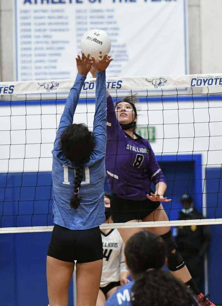 Stallions win marathon for sweep