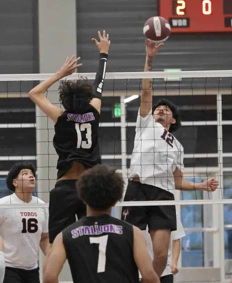 Torres gets rivalry win over Stallions