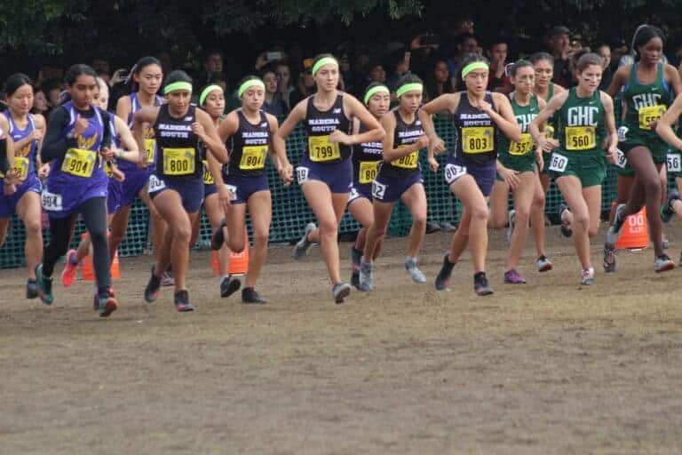 Cross country teams look to build foundations at state meet