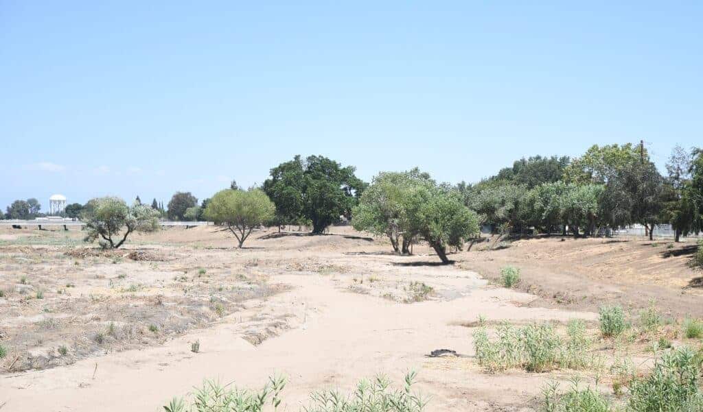 Photo - The Fresno River bed.
