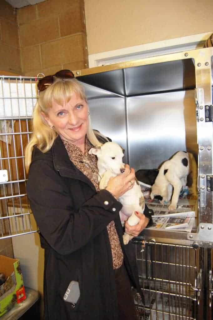 Photo - Madera County animal shelter director Kirsten Gross holds a homeless puppy in this file photo. The animal shelter is currently having a Home for the Holidays $25 dog adoption special for all dogs 25 pounds or over until Dec. 31.