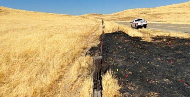 Sheriff’s deputies make arson arrest