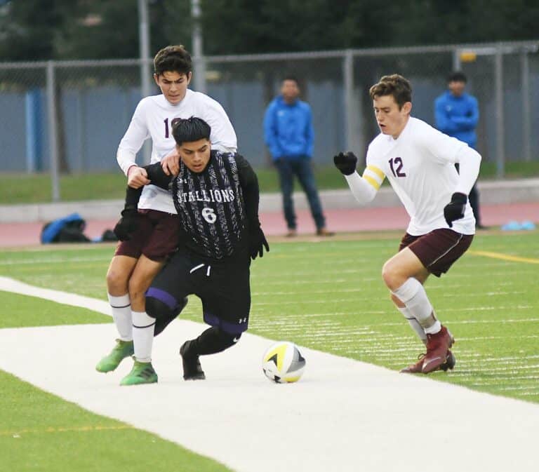 Stallions get second half goal for victory
