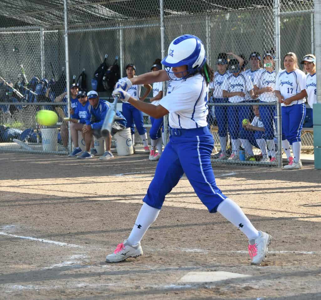 Photo - All-Madera Tribune Softball team