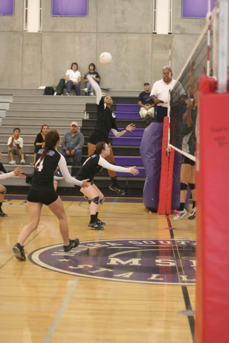 Stallions hold off Reedley; Williams sets school record for kills