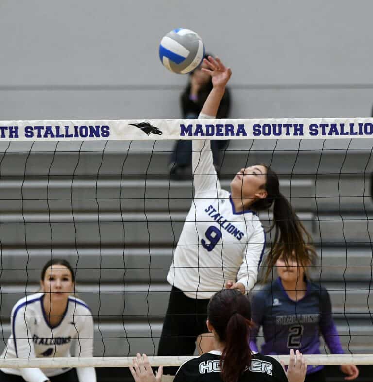 Stallions fall to defending champs