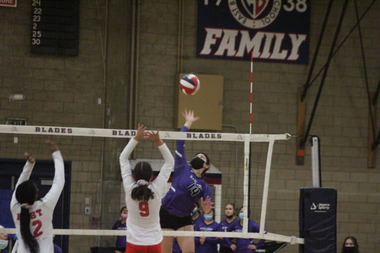 Stallions eliminated in five-sets