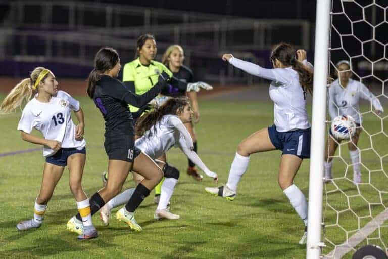 Stallions open league with win