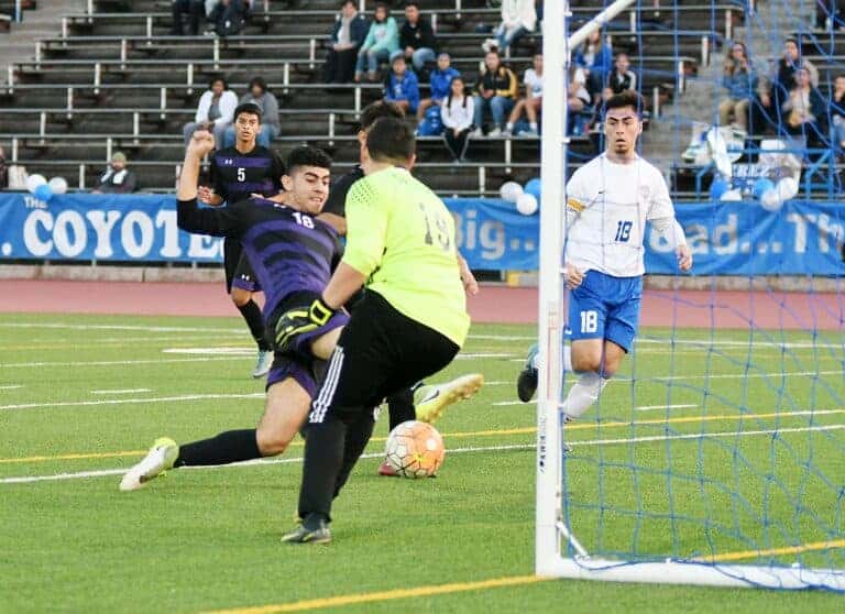 Stallions put five past Coyotes