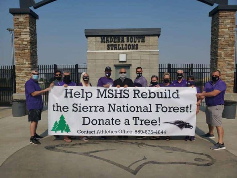 Gym studios replant trees in forest