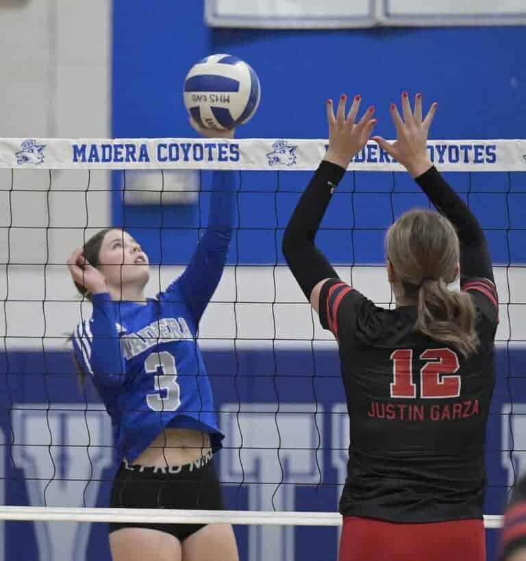 Coyotes swept by Guardians