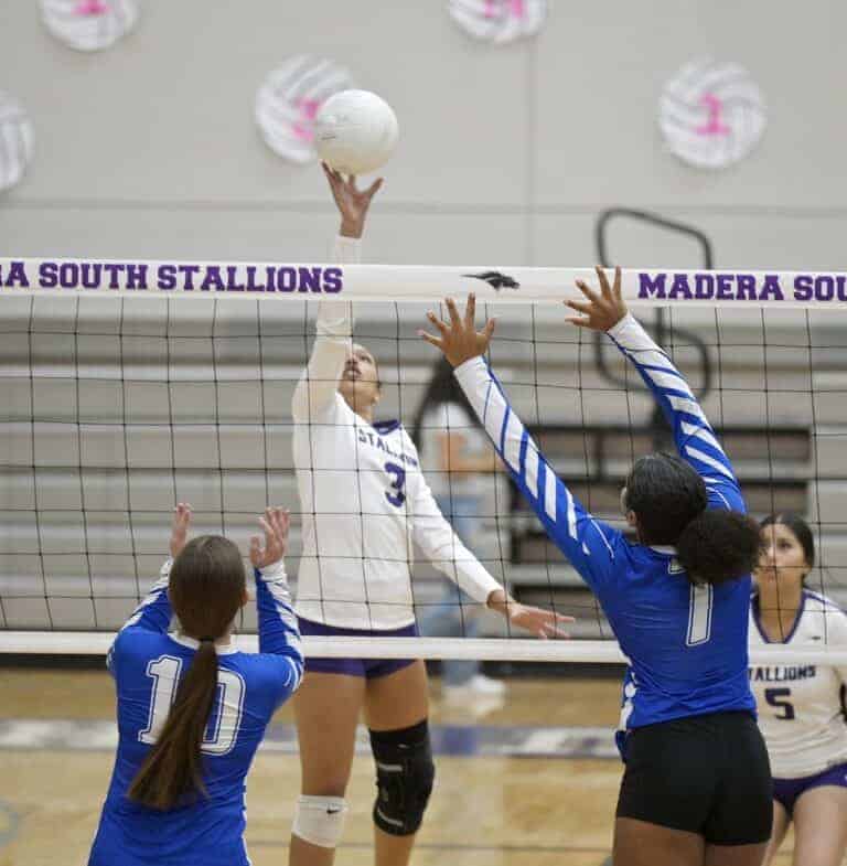 Stallions inconsistent in loss