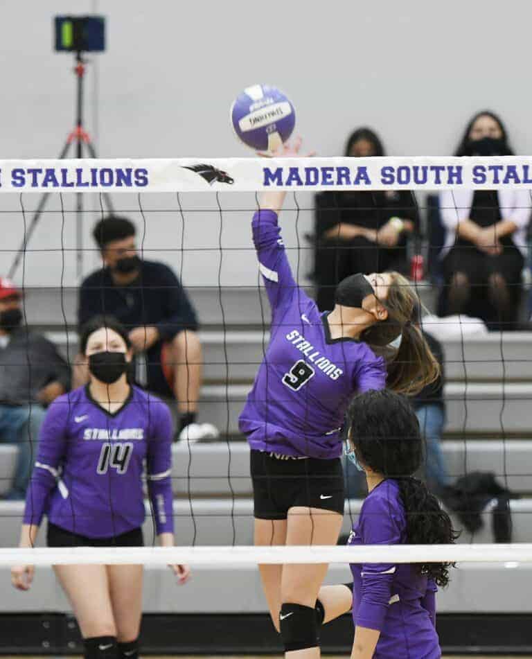 Stallions’ volleyball take care of business