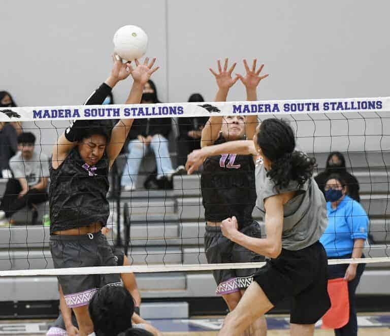Stallions open season with tough loss