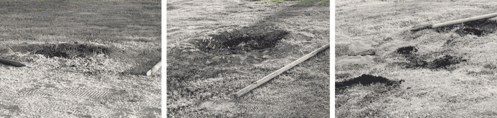 Photo - Holes and poles are found where trees were stolen earlier this week at Town and Country Park.