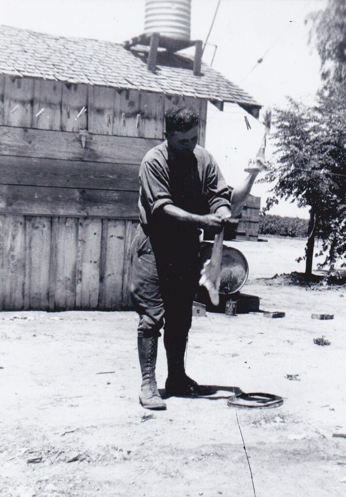 Photo - One hundred years ago, Madera County suspended the payment of bounties on coyote scalps and rabbit skins, and therefore all Eugenio Feretti got after skinning this rabbit was the meat.