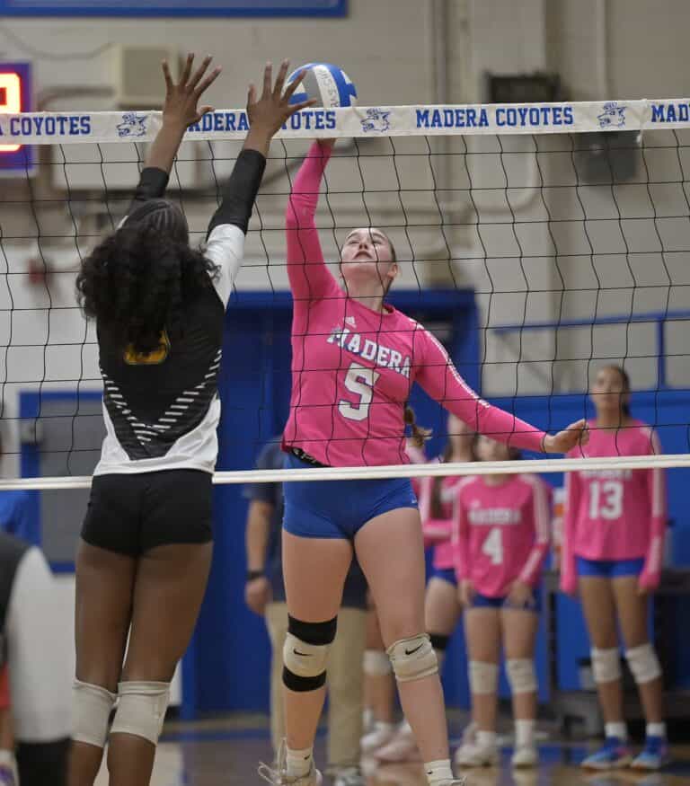 Coyotes swept by Tigers