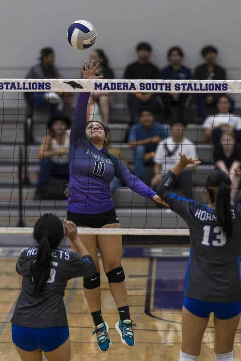 Stallions beat Hornets in first-ever meeting