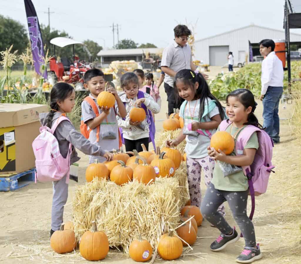 Photo - Madera FFA and Madera Unified School District host the annual Ag Literacy Days at Madera South High School on Thursday where hundreds of MUSD students visited the Plant a Pumpkin station, the Petting Zoo, the Fun Zone, an Orange’s Journey station and the Pumpkin Patch.