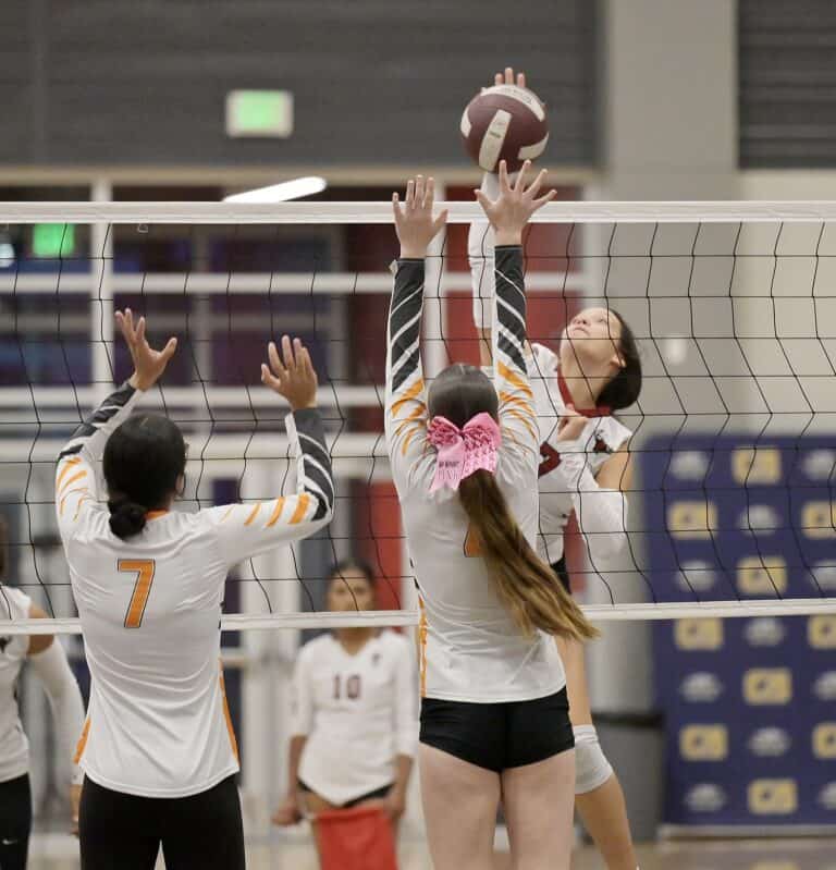 Toros rebound with dominant victory