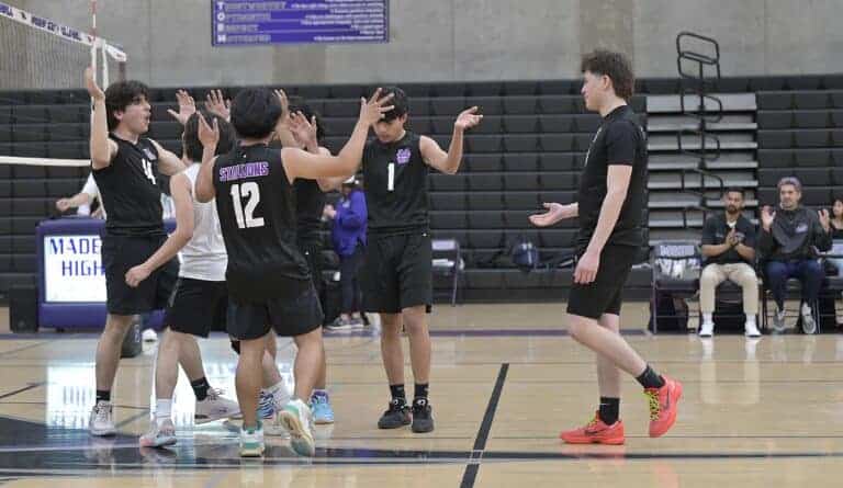 Stallions take Coyotes in four