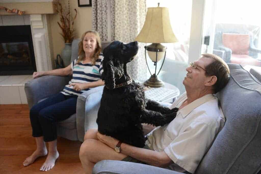 Photo - Jim and Mardi Taubert relax at their home with their dog, Remmi, in 2016, when Jim was named as a Madera Chamber of Commerce Lifetime Award recipient.