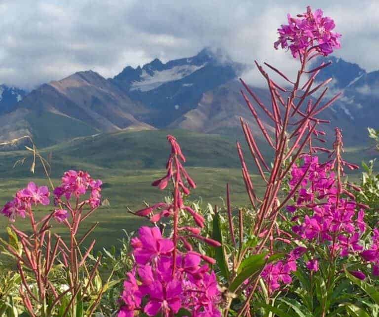 Taking a peek at the highest peak in North America